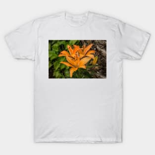 112216 orange lily T-Shirt